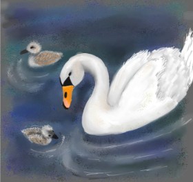 Andromeda の 白鳥 の絵