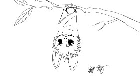 Šišmiš - autor: Ai