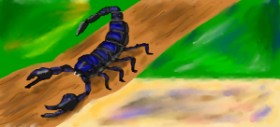 Skorpion-Zeichnung von Magic Mushroom