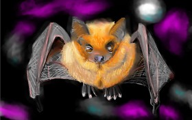 Šišmiš - autor: DrawSomething