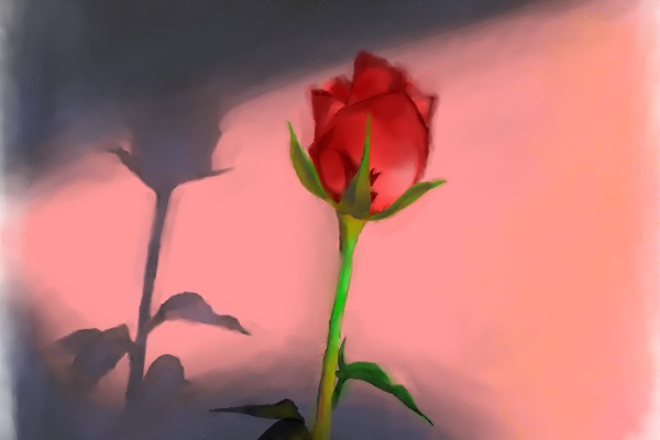 Drawing of Rose by Unknown