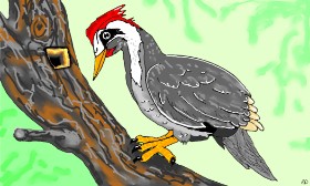 Drawing of Woodpecker by Flowerpot