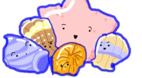 Star の ヒトデ の絵