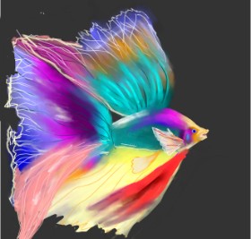 Ri の 魚 の絵