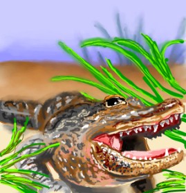 Drawing of Alligator by ⋆su⋆vinci彡