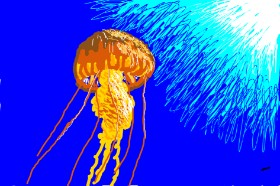 Drawing of Jellyfish by The536