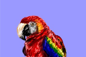 Mia の オウム の絵