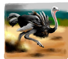 Яandi の ダチョウ の絵
