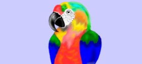 DebbyLee の 鳥 の絵