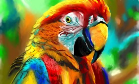 Herbert の オウム の絵