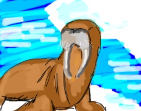 Drawing of Walrus by Mini