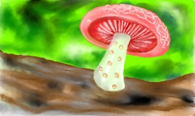 Gljiva - autor: Tim