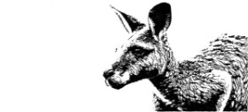 Nay の カンガルー の絵
