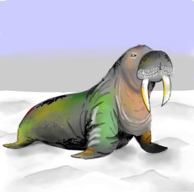 Рисунок на тему «Морж» — автор: Keke •_•