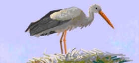 Женя の コウノトリ の絵
