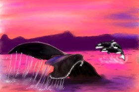 Wizard の クジラ の絵