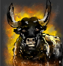 Drawing of Bull by Eclat de Lune