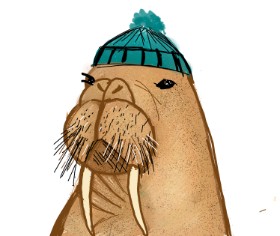 Drawing of Walrus by Cookie