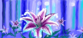 Drawing of Lily flower by Ghost