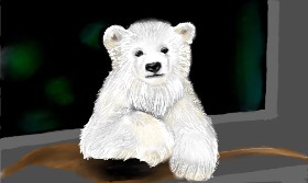 Tim の ホッキョクグマ の絵