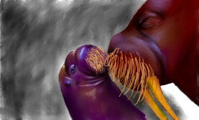 Drawing of Walrus by Sjkdovey