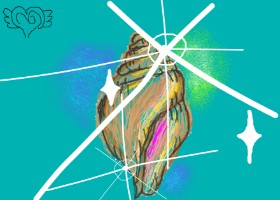 CINICOEPICUREO の 貝殻 の絵