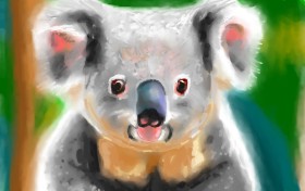 Herbert の コアラ の絵