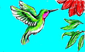 Sim の ハチドリ の絵