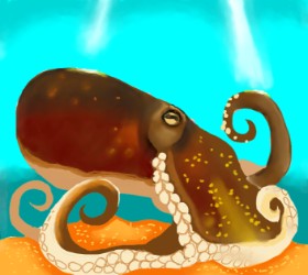 Drawing of Octopus by Cucumberjoe