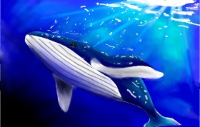Grace🥀🦋 の クジラ の絵