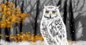 Рисунок на тему «Сова» — автор: Eclat de Lune