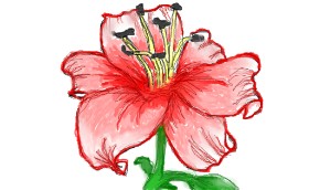 Jana の ユリの花 の絵