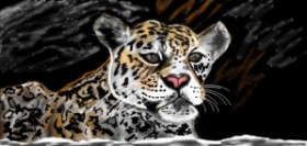 Çhåching の チーター の絵