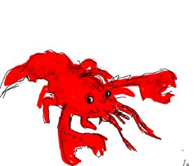 Drawing of Lobster by Panda