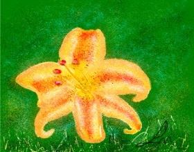 Nonuvyrbiznis  の ユリの花 の絵