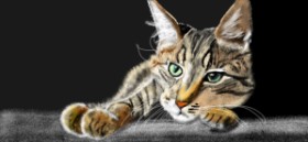 Çhåching の 猫 の絵