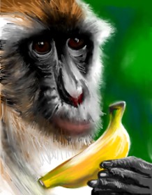 Drawing of Banana by ⋆su⋆vinci彡