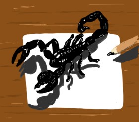 Skorpion-Zeichnung von Geo-Pebbles