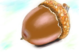 Рисунок на тему «Желудь» — автор: Herbert
