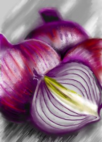 Drawing of Onion by ⋆su⋆vinci彡