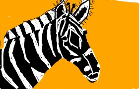 Zebra-Zeichnung von Anonymous