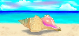 DebbyLee の 貝殻 の絵
