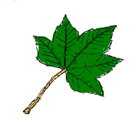 List - autor: Drawn