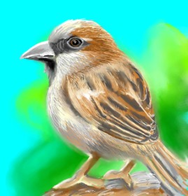 ⋆su⋆vinci彡 の スズメ の絵