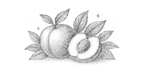 Drawing of Peach by Naywen