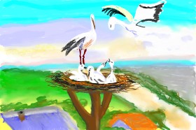 Dm の コウノトリ の絵