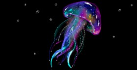 Рисунок на тему «Медуза» — автор: Eclat de Lune