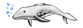 hahah の クジラ の絵