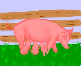 Cherri の 豚 の絵
