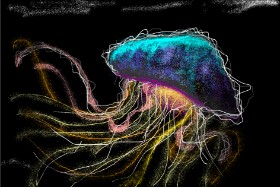 Drawing of Jellyfish by Josegreas